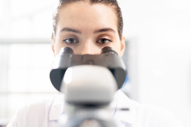 Similar image 20872925