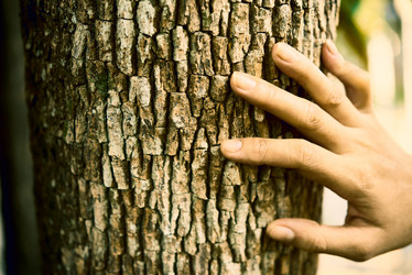 Similar image 20853924