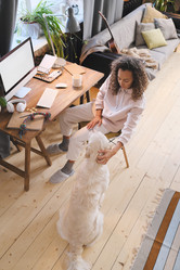 Similar image 20793076