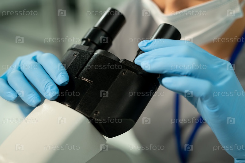 Gloved hands of worker of scientific laboratory investigating chemical sample