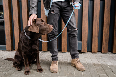 Similar image 20885498