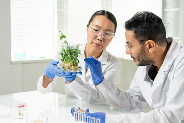 Similar image 20834803