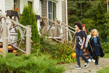 Similar image 20862630