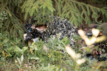 Similar image 20817065