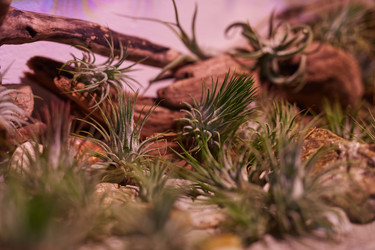 Similar image 20834382