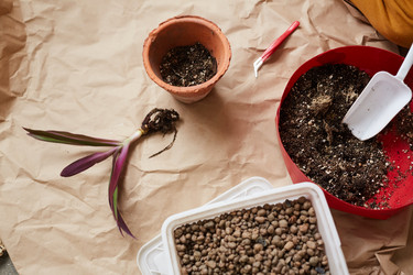 Similar image 20821667