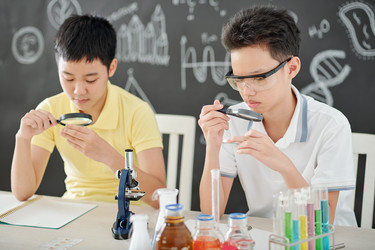 Similar image 20827703