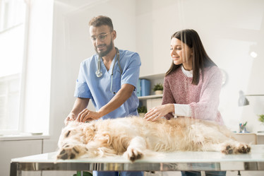 Similar image 20863991