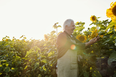 Similar image 20817436