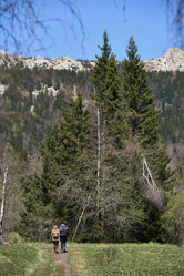 Similar image 20841973