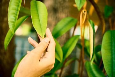 Similar image 20851378