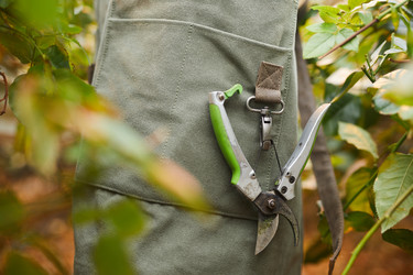 Similar image 20827618