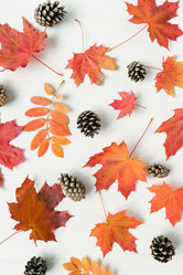 Similar image 20888227