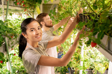 Similar image 20822807