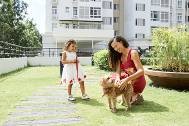 Similar image 20855689