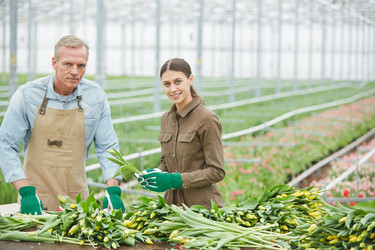 Similar image 20811808