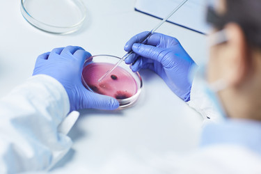 Similar image 20887271