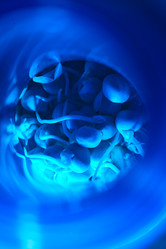 Similar image 20807134