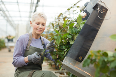 Similar image 20809470