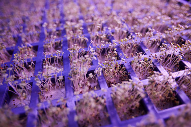 Similar image 20796881