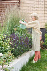 Similar image 20797193