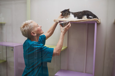 Similar image 20793449