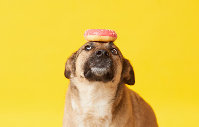 Similar image 20834426