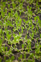 Similar image 20792803