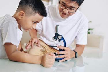 Similar image 20824729