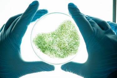 Similar image 20887709