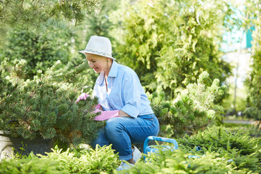 Similar image 20851165