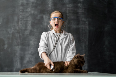 Similar image 20889969