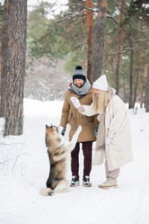 Similar image 20798703