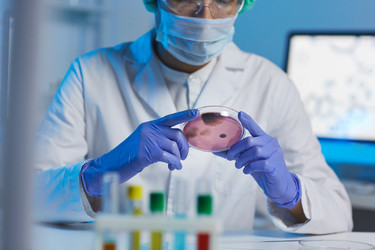 Similar image 20883109