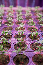 Similar image 20805232