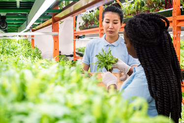 Similar image 20870084