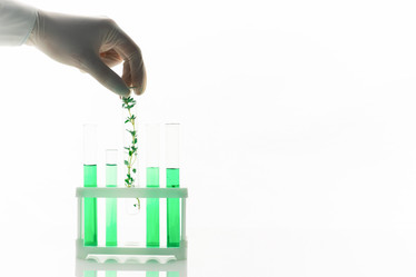 Similar image 20806356