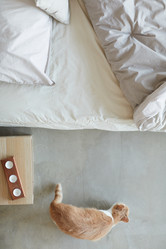 Similar image 20802401