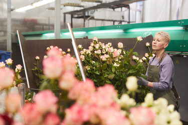 Similar image 20828639