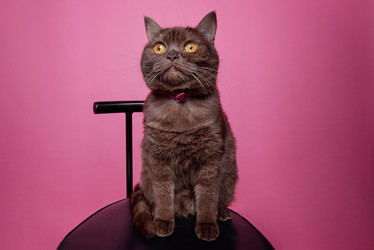 Similar image 20818657