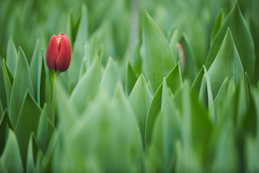 Similar image 20799291