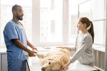 Similar image 20864953