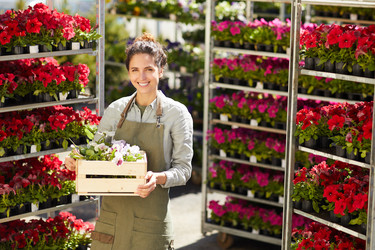 Similar image 20803558