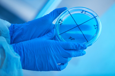 Similar image 20813856