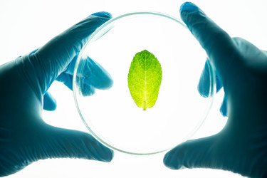 Similar image 20858254