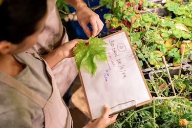 Similar image 20796006