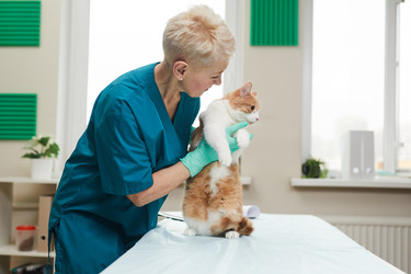 Similar image 20814614