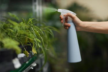 Similar image 20798256