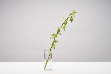 Similar image 20809109