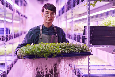 Similar image 20811625